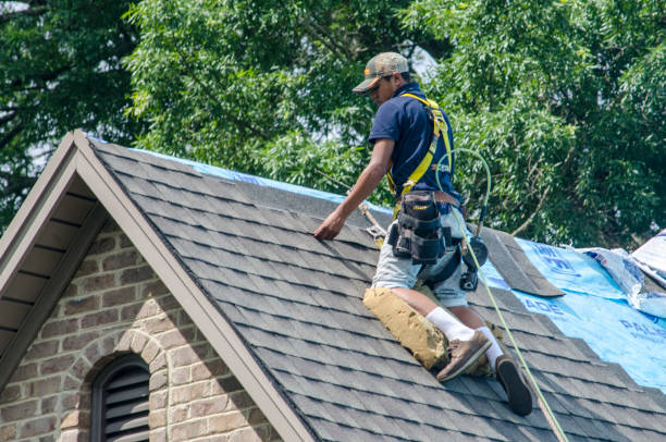 Best Local Roofing Companies  in Hampton, GA